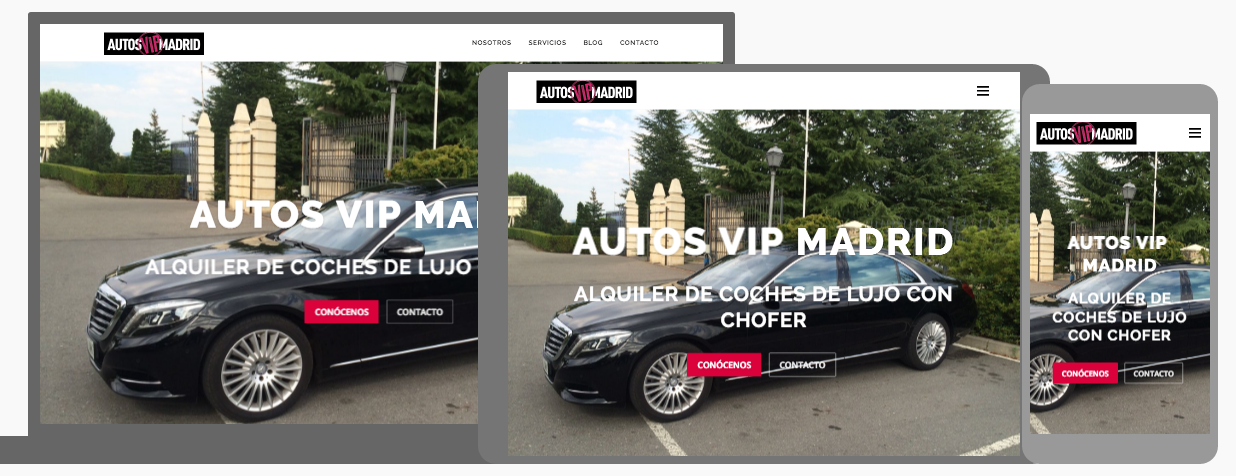 diseño web y posicionamiento web madrid